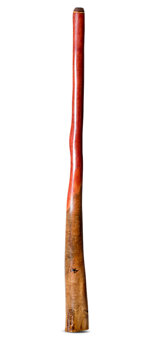Tristan O'Meara Didgeridoo (TM441)